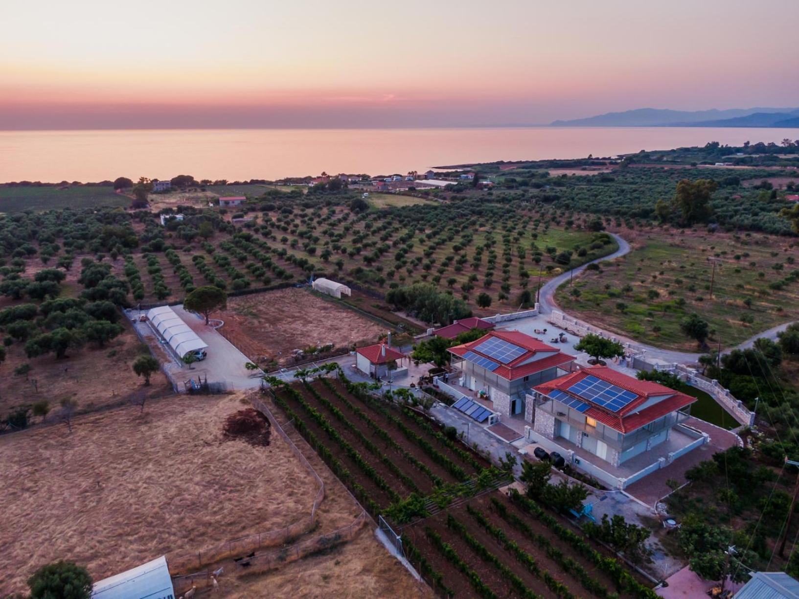 Terra Helios Suites & Studios Κυπαρισσία Εξωτερικό φωτογραφία