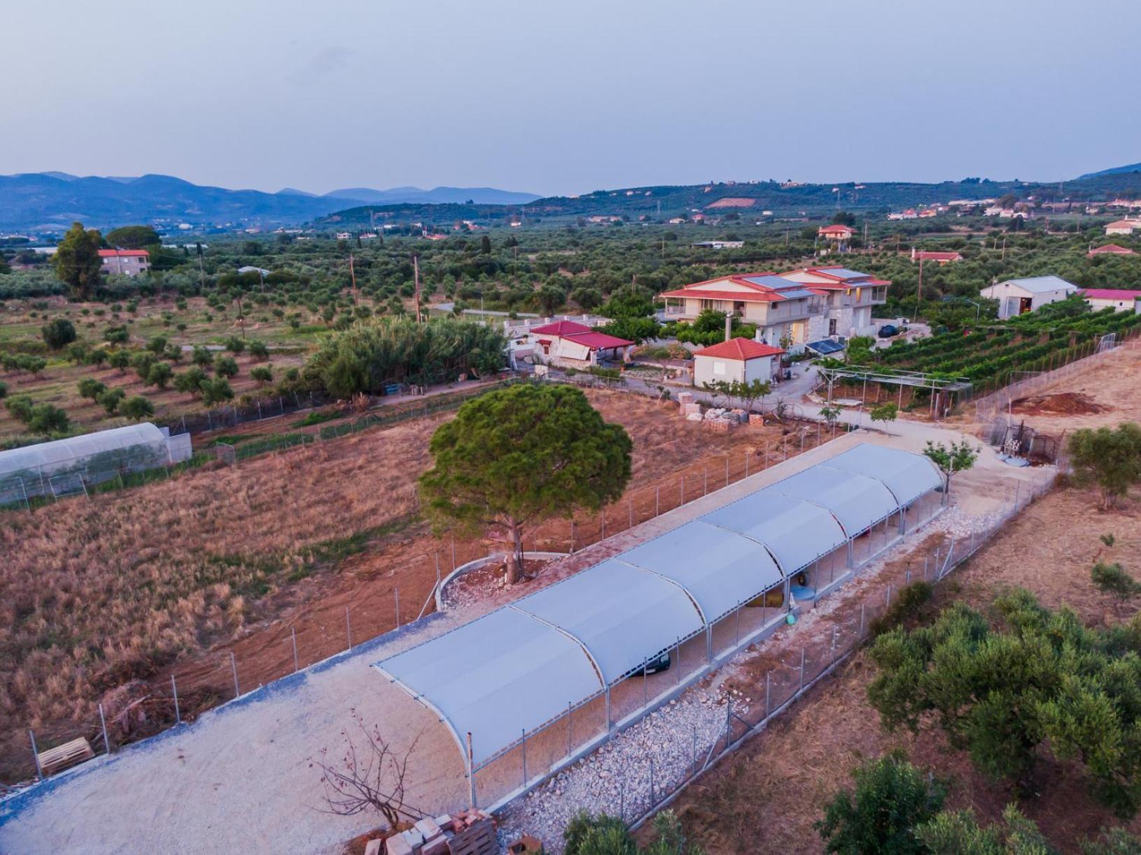 Terra Helios Suites & Studios Κυπαρισσία Εξωτερικό φωτογραφία