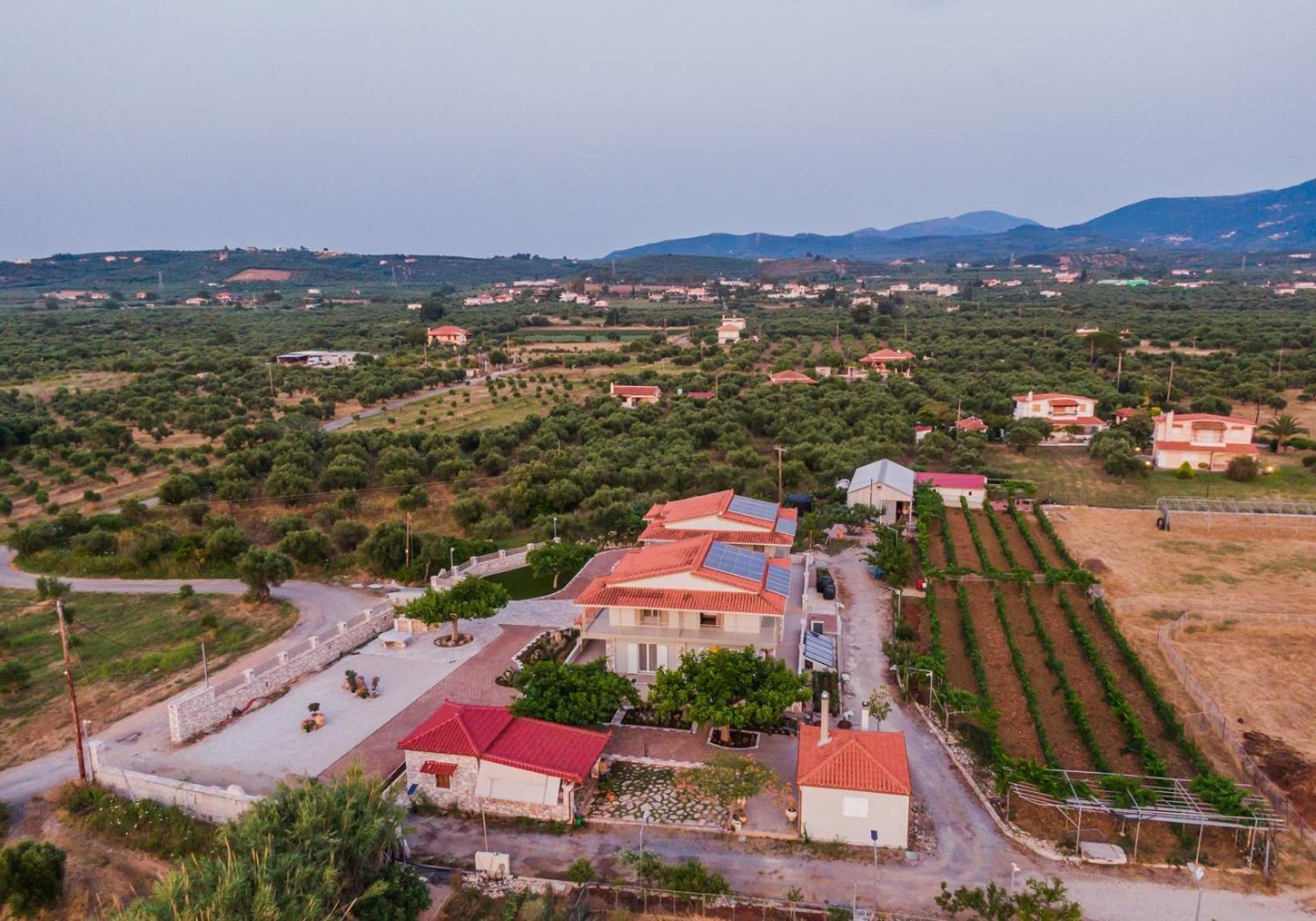 Terra Helios Suites & Studios Κυπαρισσία Εξωτερικό φωτογραφία